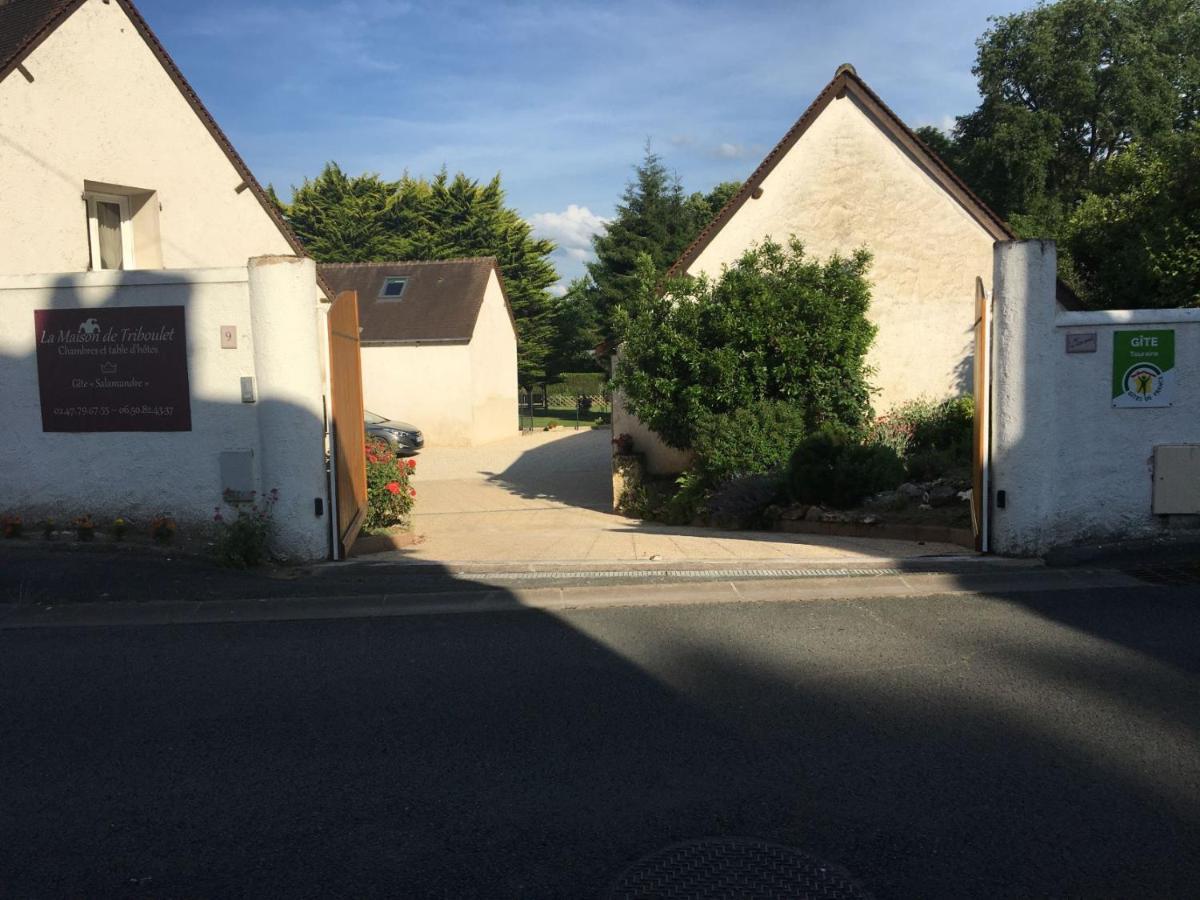 La Maison De Triboulet Chambres Et Table D'Hotes -Amboise- Pocé-sur-Cisse Exterior photo